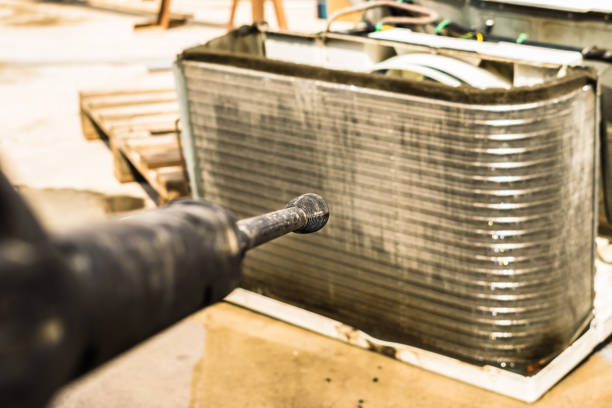 Best Air Duct Mold Removal  in Cedville, AR