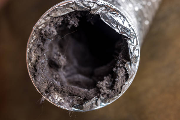 Best Air Duct Cleaning Near Me  in Cedville, AR