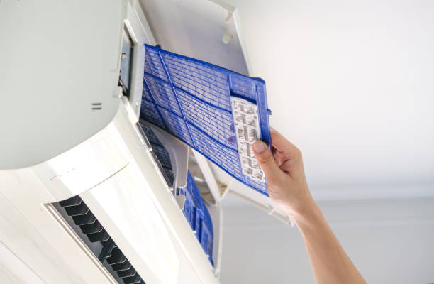 Best Duct Cleaning for Homes  in Cedville, AR
